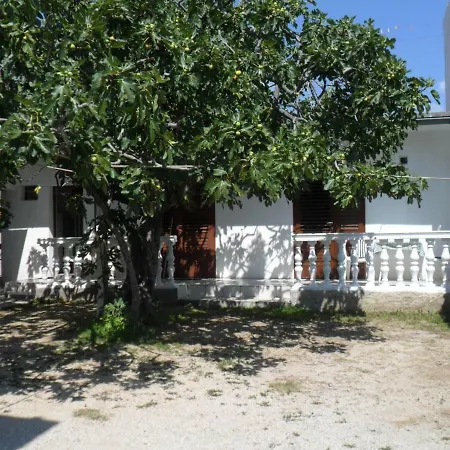 Goran Vodice